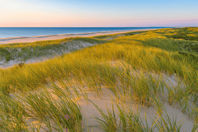 Hamptons Weekend vs. City Grind: Transitional Fragrances for NYC's Dual Life - TUOKSU